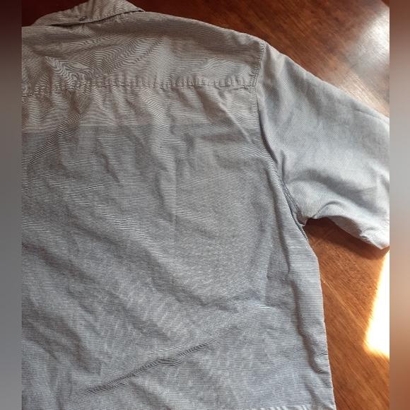 Rumours Collared Med/Large - Picture 7 of 14